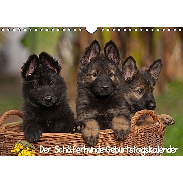 Der Schäferhunde-Geburtstagskalender (Wandkalender immerwährend DIN A4 quer), Tina Mauersberger