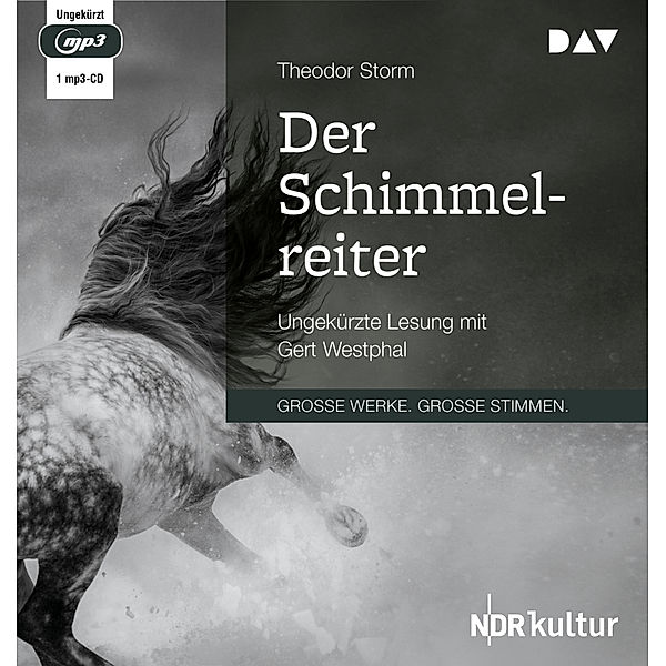 Der Schimmelreiter,1 Audio-CD, 1 MP3, Theodor Storm