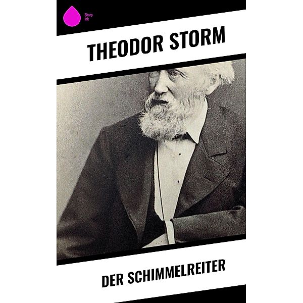 Der Schimmelreiter, Theodor Storm