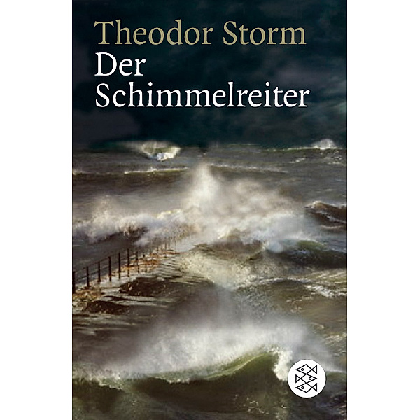 Der Schimmelreiter, Theodor Storm