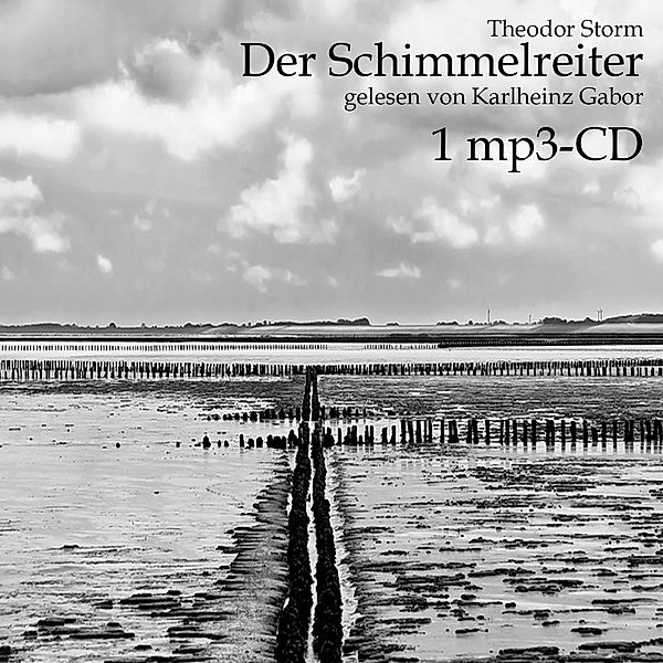 Der Schimmelreiter,Audio-CD, MP3, Theodor Storm