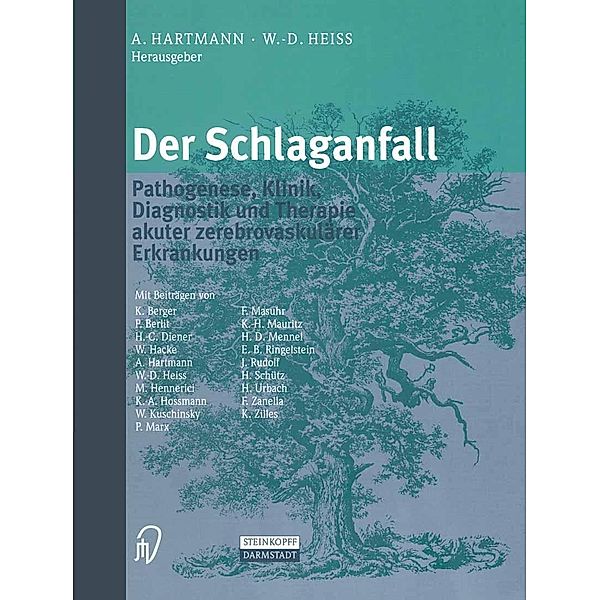 Der Schlaganfall