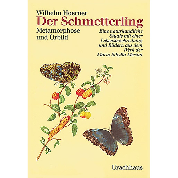 Der Schmetterling, Wilhelm Hoerner