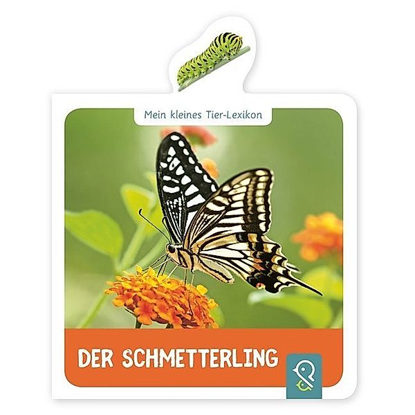 Der Schmetterling, Hannah Kastenhuber