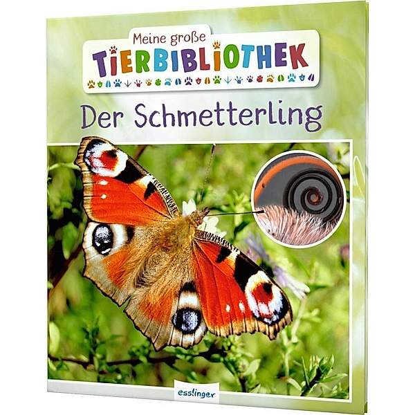 Der Schmetterling / Meine große Tierbibliothek Bd.14, Valérie Tracqui