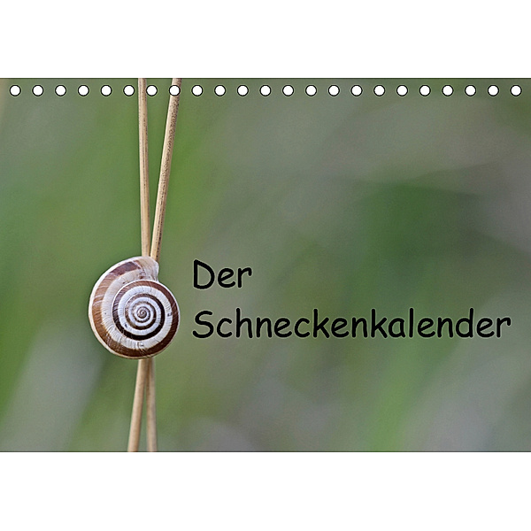 Der Schneckenkalender (Tischkalender 2019 DIN A5 quer), Christine Schmutzler-Schaub