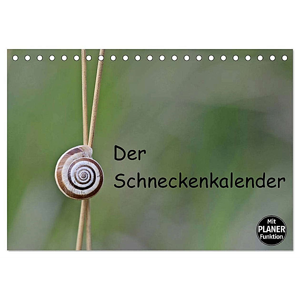 Der Schneckenkalender (Tischkalender 2024 DIN A5 quer), CALVENDO Monatskalender, Christine Schmutzler-Schaub