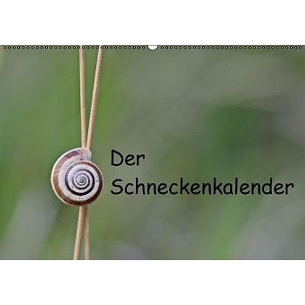 Der Schneckenkalender (Wandkalender 2016 DIN A2 quer), Christine Schmutzler-Schaub
