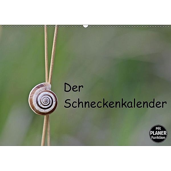 Der Schneckenkalender (Wandkalender 2017 DIN A2 quer), Christine Schmutzler-Schaub