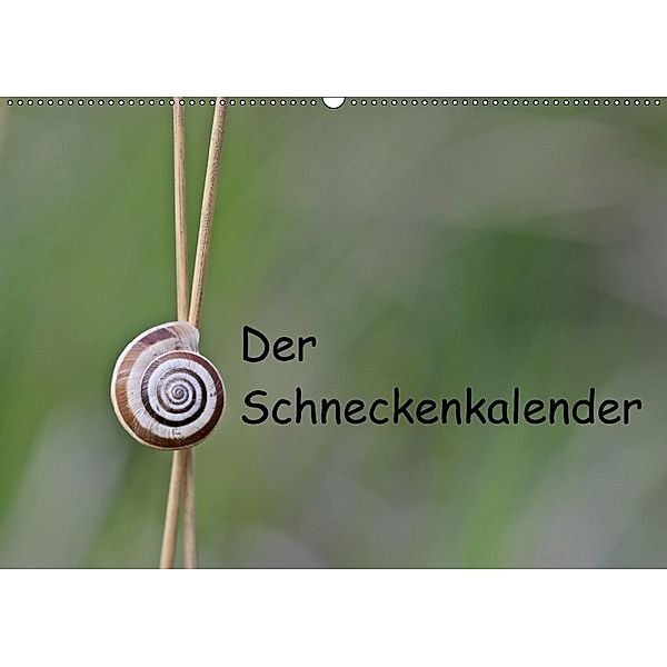 Der Schneckenkalender (Wandkalender 2018 DIN A2 quer), Christine Schmutzler-Schaub