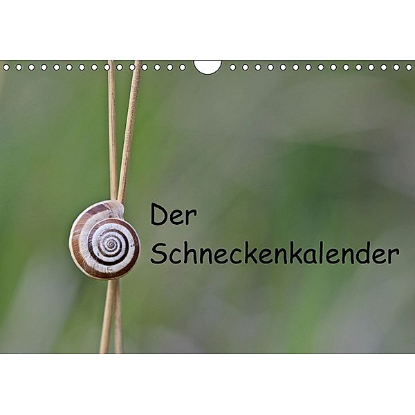 Der Schneckenkalender (Wandkalender 2018 DIN A4 quer), Christine Schmutzler-Schaub