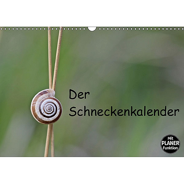 Der Schneckenkalender (Wandkalender 2019 DIN A3 quer), Christine Schmutzler-Schaub