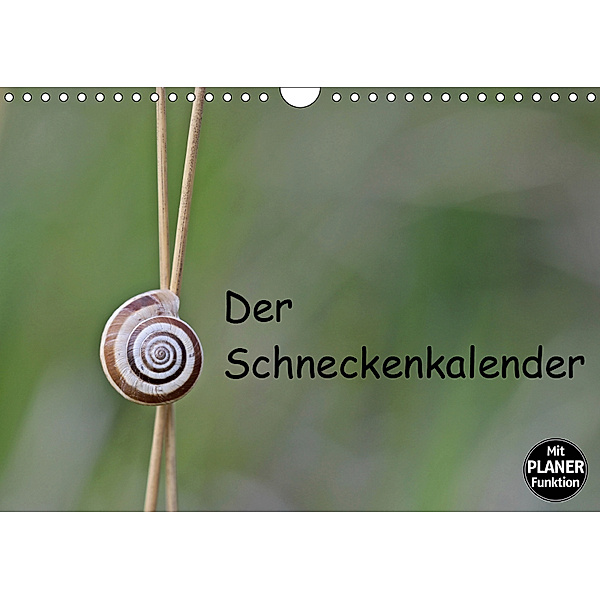 Der Schneckenkalender (Wandkalender 2019 DIN A4 quer), Christine Schmutzler-Schaub