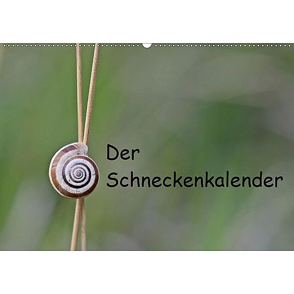 Der Schneckenkalender (Wandkalender 2020 DIN A2 quer), Christine Schmutzler-Schaub