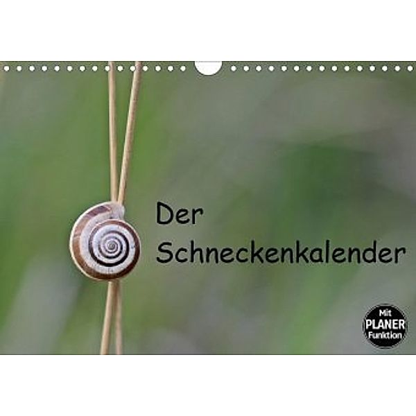 Der Schneckenkalender (Wandkalender 2020 DIN A4 quer), Christine Schmutzler-Schaub