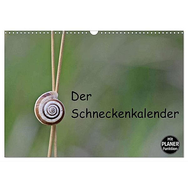 Der Schneckenkalender (Wandkalender 2024 DIN A3 quer), CALVENDO Monatskalender, Christine Schmutzler-Schaub