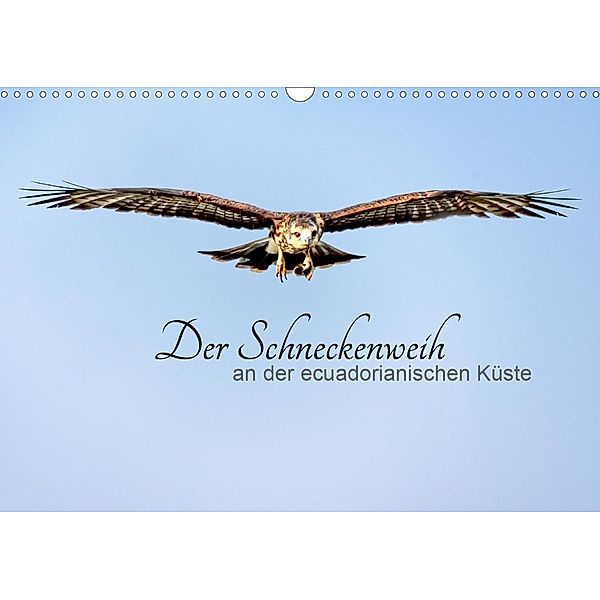 Der Schneckenweih (Wandkalender 2021 DIN A3 quer), Peter Rosenthal