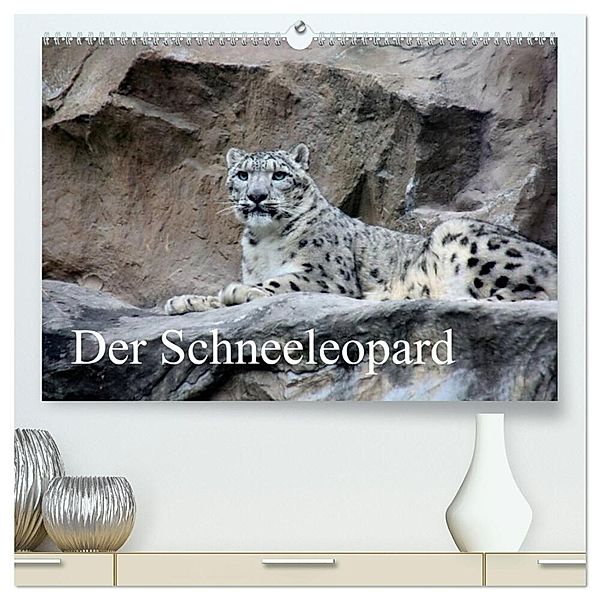 Der Schneeleopard (hochwertiger Premium Wandkalender 2024 DIN A2 quer), Kunstdruck in Hochglanz, Arno Klatt