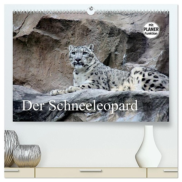 Der Schneeleopard (hochwertiger Premium Wandkalender 2025 DIN A2 quer), Kunstdruck in Hochglanz, Calvendo, Arno Klatt