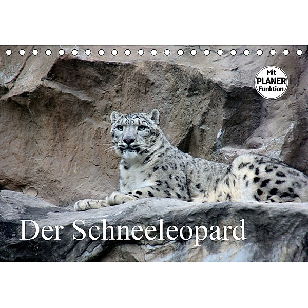 Der Schneeleopard (Tischkalender 2019 DIN A5 quer), Arno Klatt