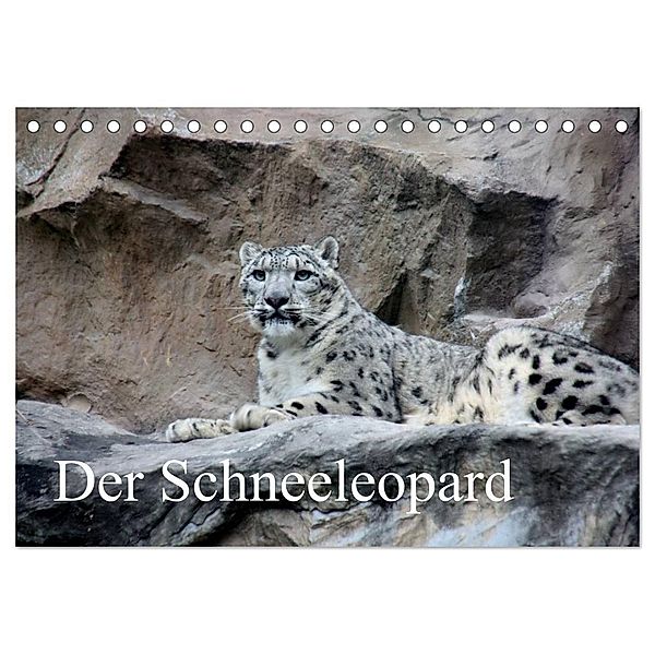 Der Schneeleopard (Tischkalender 2024 DIN A5 quer), CALVENDO Monatskalender, Arno Klatt