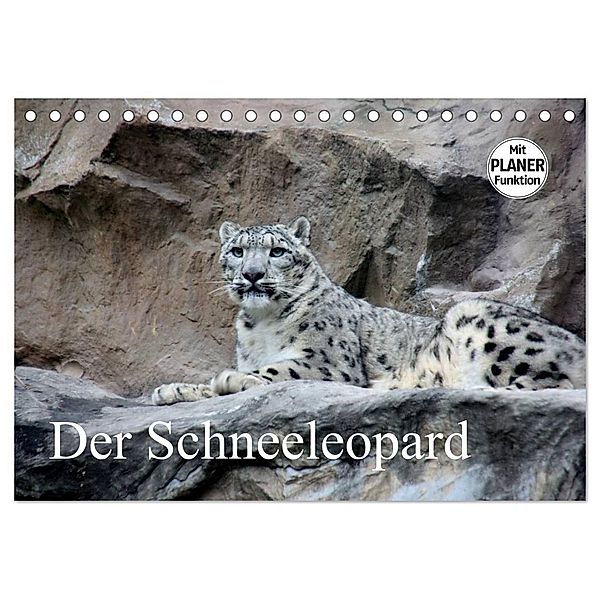 Der Schneeleopard (Tischkalender 2025 DIN A5 quer), CALVENDO Monatskalender, Calvendo, Arno Klatt