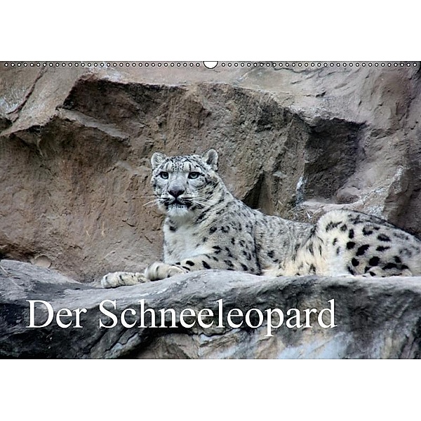 Der Schneeleopard (Wandkalender 2017 DIN A2 quer), Arno Klatt