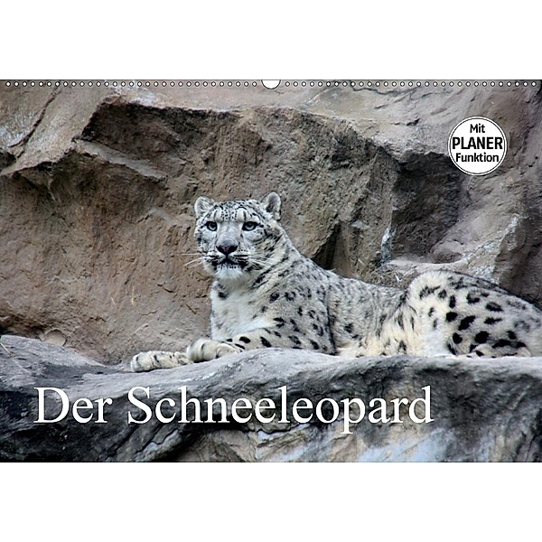 Der Schneeleopard (Wandkalender 2020 DIN A2 quer), Arno Klatt