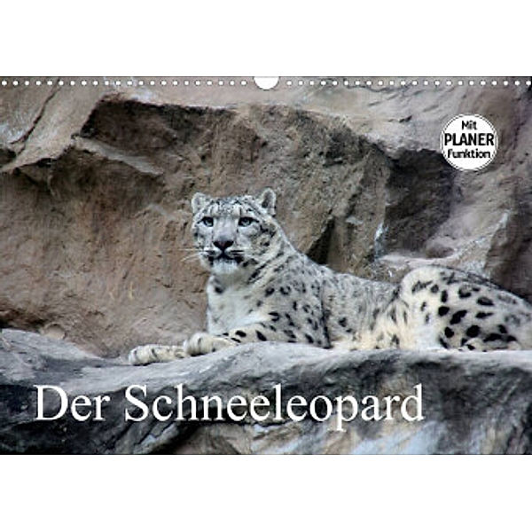 Der Schneeleopard (Wandkalender 2022 DIN A3 quer), Arno Klatt