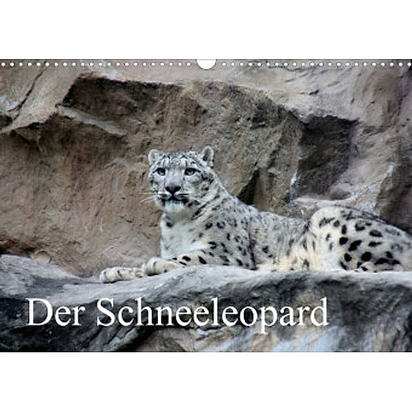 Der Schneeleopard (Wandkalender 2022 DIN A3 quer), Arno Klatt