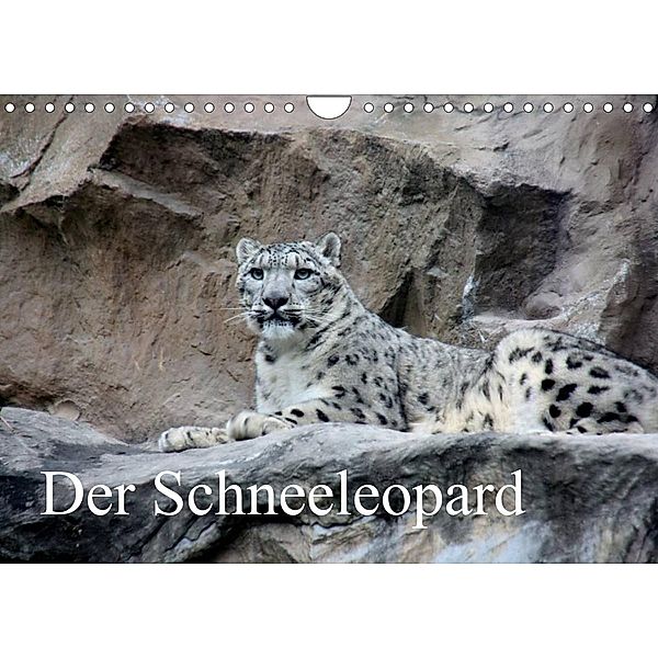 Der Schneeleopard (Wandkalender 2023 DIN A4 quer), Arno Klatt