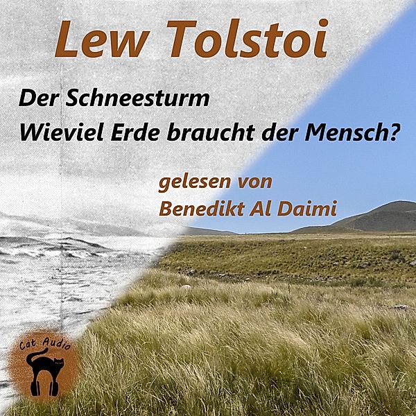 Der Schneesturm & Wieviel Erde braucht der Mensch?, Lew Tolstoi