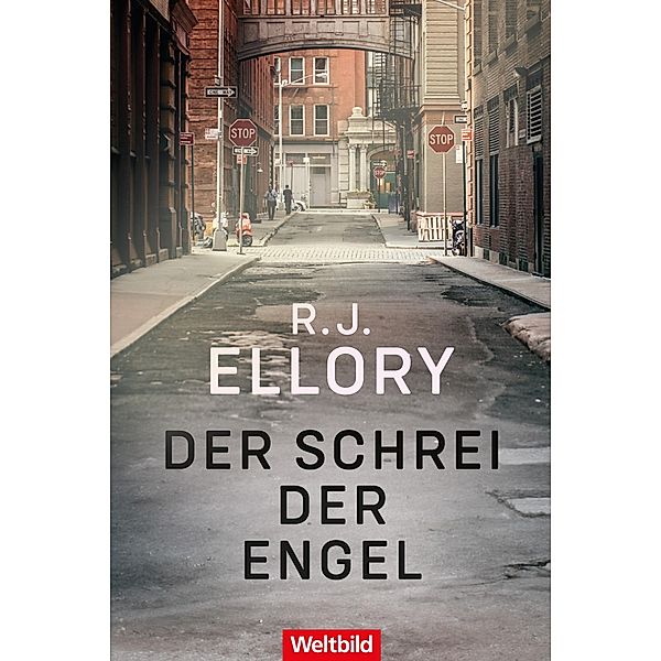 Der Schrei der Engel, R. J. Ellory