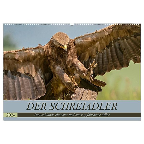 Der Schreiadler (Clanga pomarina) - Deutschands kleinster und stark gefährdeter Adler. (Wandkalender 2024 DIN A2 quer), CALVENDO Monatskalender, Arne Wünsche