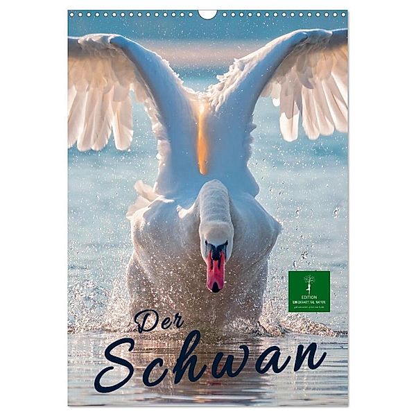 Der Schwan (Wandkalender 2024 DIN A3 hoch), CALVENDO Monatskalender, Peter Roder