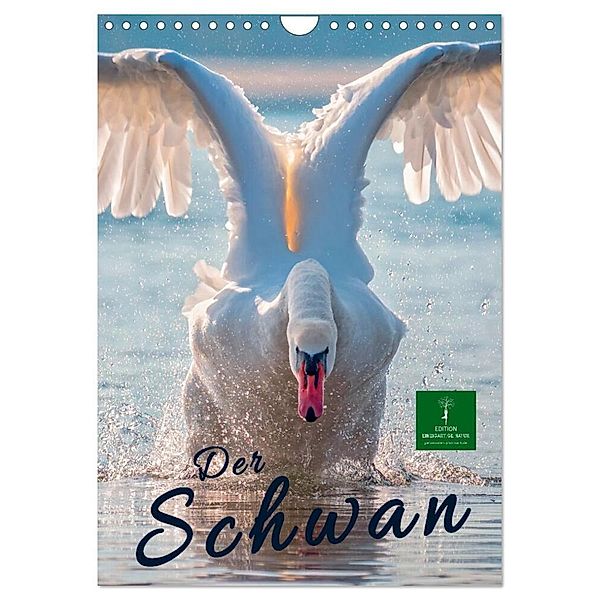 Der Schwan (Wandkalender 2024 DIN A4 hoch), CALVENDO Monatskalender, Peter Roder