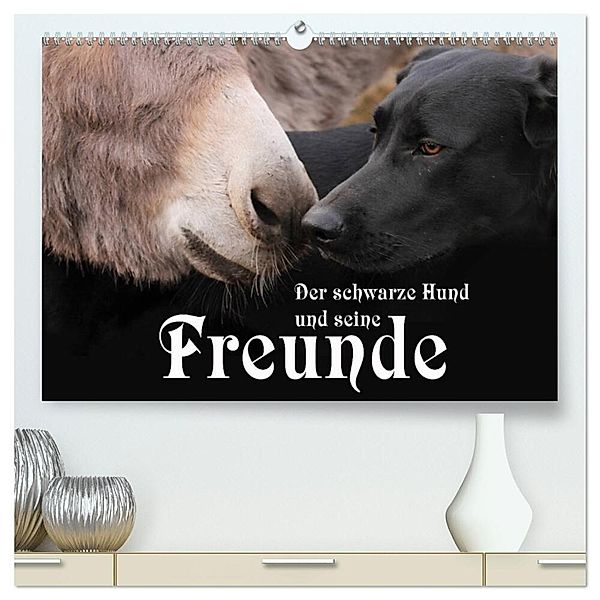 Der schwarze Hund und seine Freunde (hochwertiger Premium Wandkalender 2025 DIN A2 quer), Kunstdruck in Hochglanz, Calvendo, Michael Gsödl