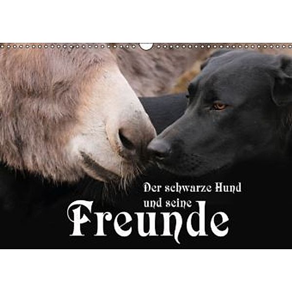 Der schwarze Hund und seine Freunde (Wandkalender 2015 DIN A3 quer), Michael Gsödl