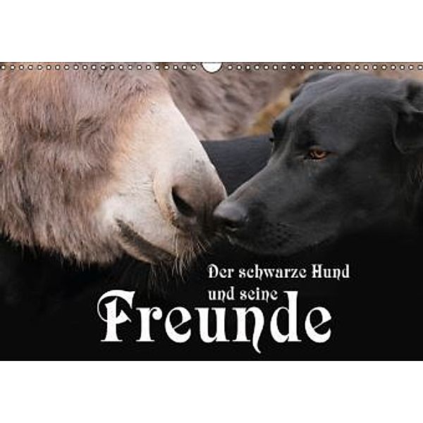 Der schwarze Hund und seine Freunde (Wandkalender 2016 DIN A3 quer), Michael Gsödl