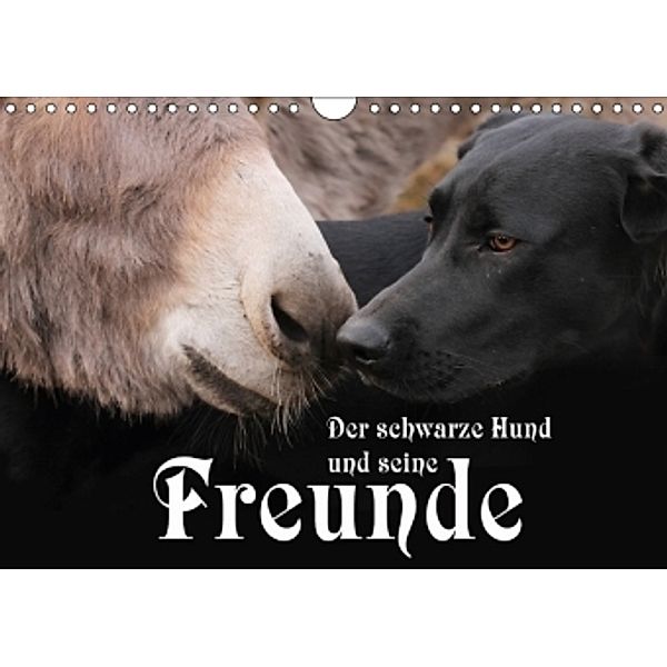 Der schwarze Hund und seine Freunde (Wandkalender 2017 DIN A4 quer), Michael Gsödl