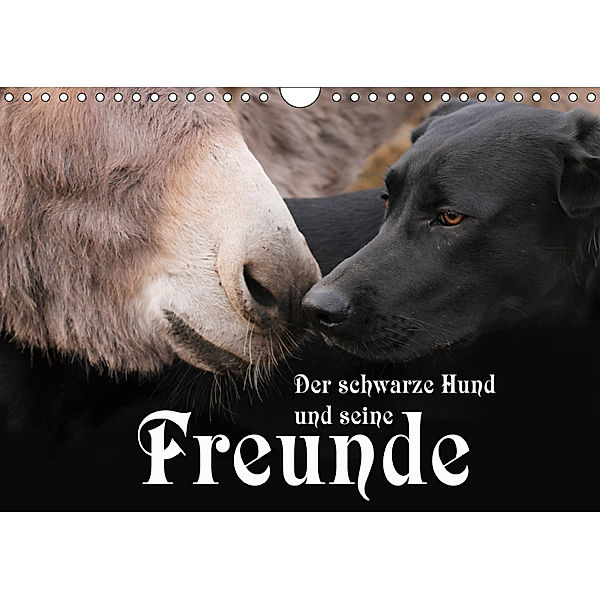 Der schwarze Hund und seine Freunde (Wandkalender 2019 DIN A4 quer), Michael Gsödl