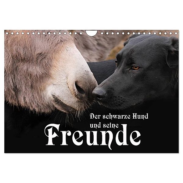Der schwarze Hund und seine Freunde (Wandkalender 2025 DIN A4 quer), CALVENDO Monatskalender, Calvendo, Michael Gsödl
