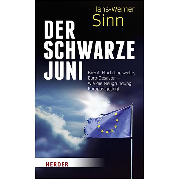 Der Schwarze Juni, Hans-Werner Sinn