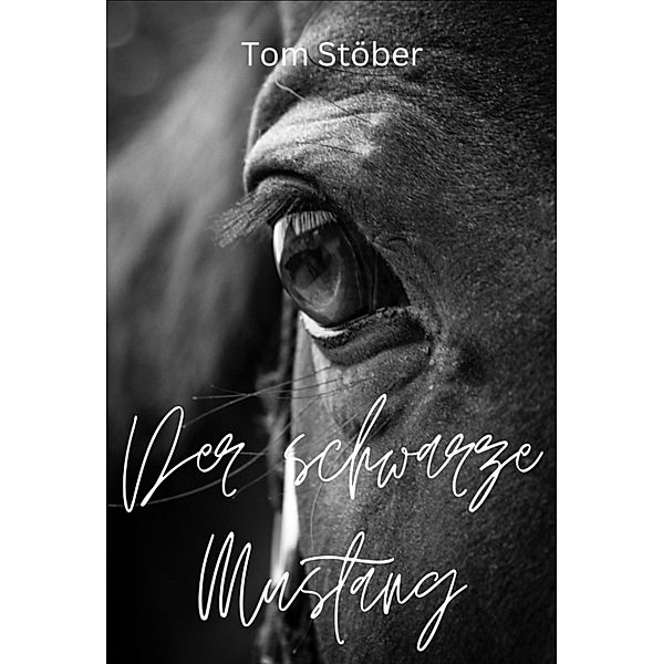 Der schwarze Mustang, Tom Stöber