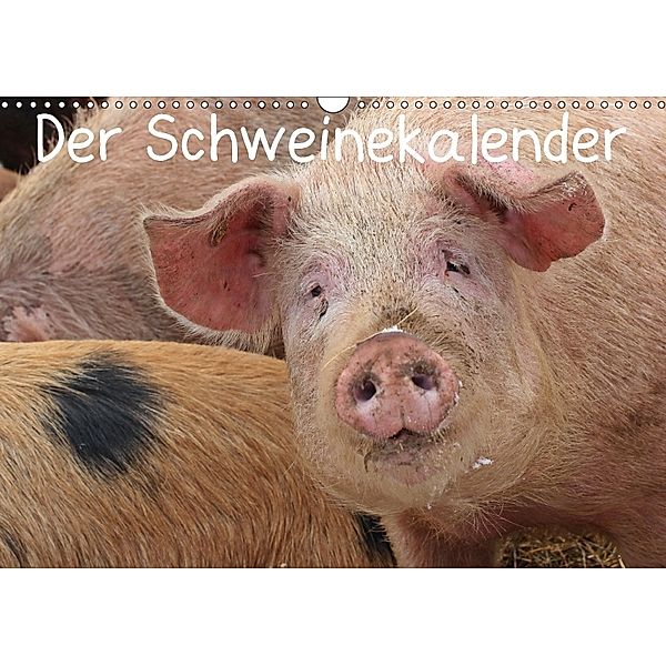 Der Schweinekalender (Wandkalender 2018 DIN A3 quer) Dieser erfolgreiche Kalender wurde dieses Jahr mit gleichen Bildern, Christine Schmutzler-Schaub