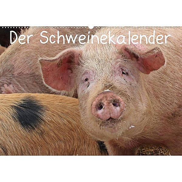 Der Schweinekalender (Wandkalender 2023 DIN A2 quer), Christine Schmutzler-Schaub