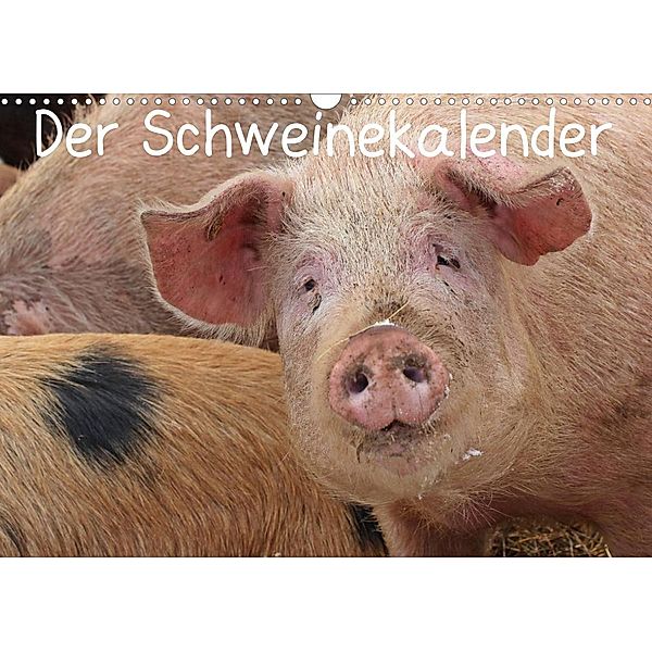 Der Schweinekalender (Wandkalender 2023 DIN A3 quer), Christine Schmutzler-Schaub