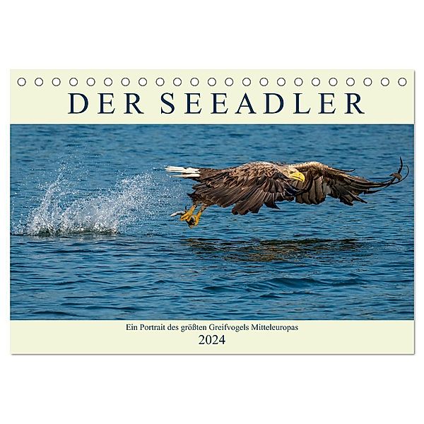 DER SEEADLER Ein Portrait des grössten Greifvogels Mitteleuropas (Tischkalender 2024 DIN A5 quer), CALVENDO Monatskalender, Arne Wünsche