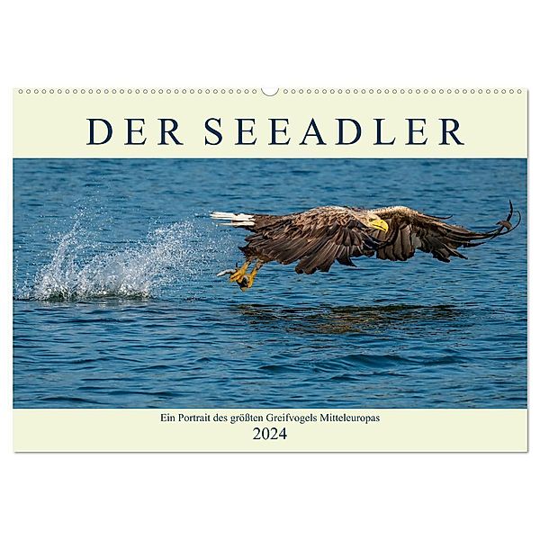 DER SEEADLER Ein Portrait des grössten Greifvogels Mitteleuropas (Wandkalender 2024 DIN A2 quer), CALVENDO Monatskalender, Arne Wünsche