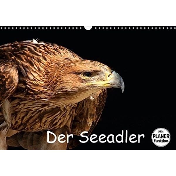 Der Seeadler (Wandkalender 2016 DIN A3 quer), Arno Klatt